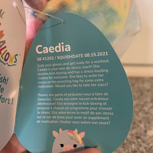 NWT 8” Caedia Squishmallow - Picture 4 of 4